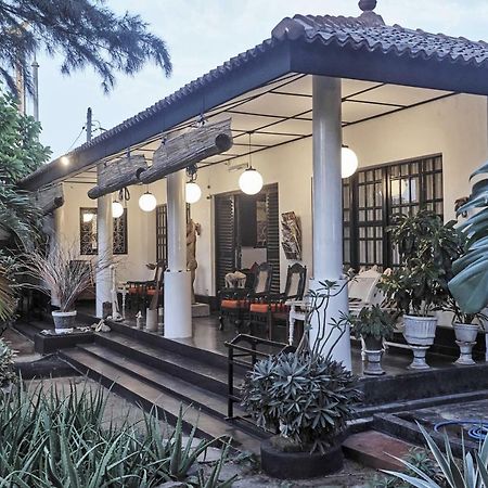 The Icebear Guesthouse Negombo Zewnętrze zdjęcie