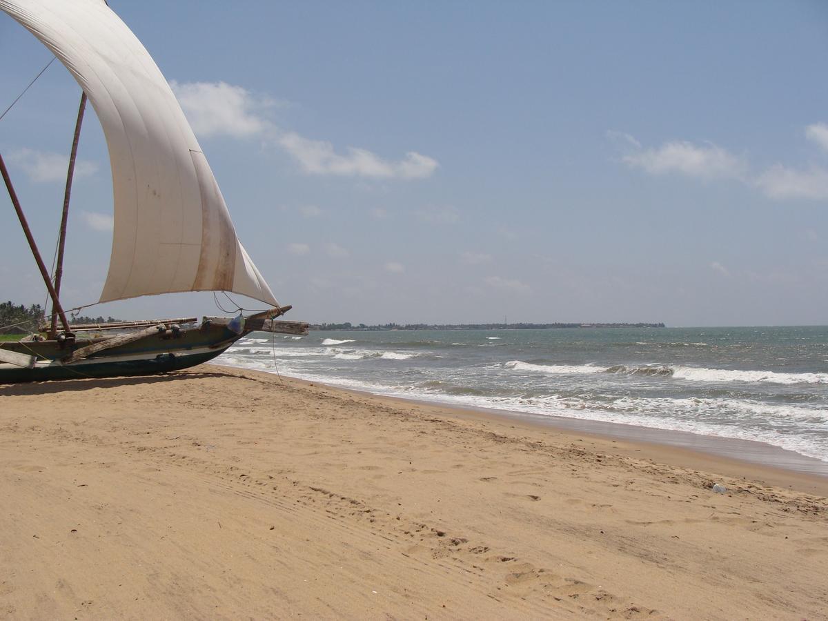 The Icebear Guesthouse Negombo Zewnętrze zdjęcie