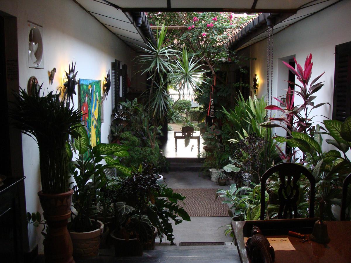 The Icebear Guesthouse Negombo Zewnętrze zdjęcie