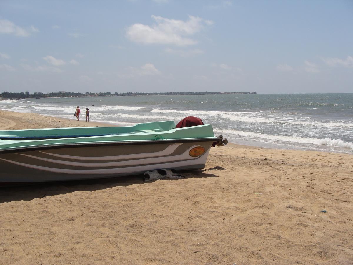 The Icebear Guesthouse Negombo Zewnętrze zdjęcie