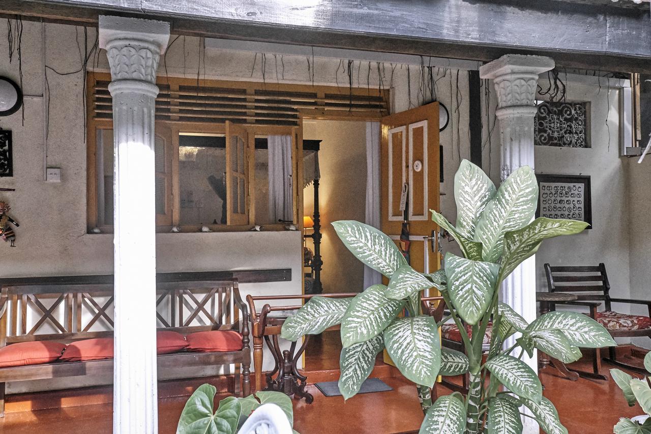 The Icebear Guesthouse Negombo Zewnętrze zdjęcie