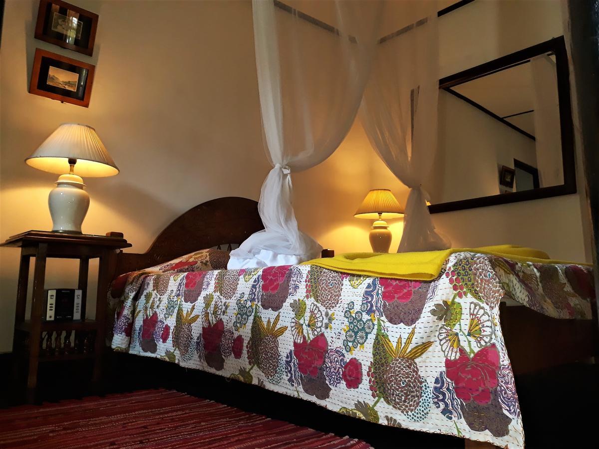 The Icebear Guesthouse Negombo Zewnętrze zdjęcie