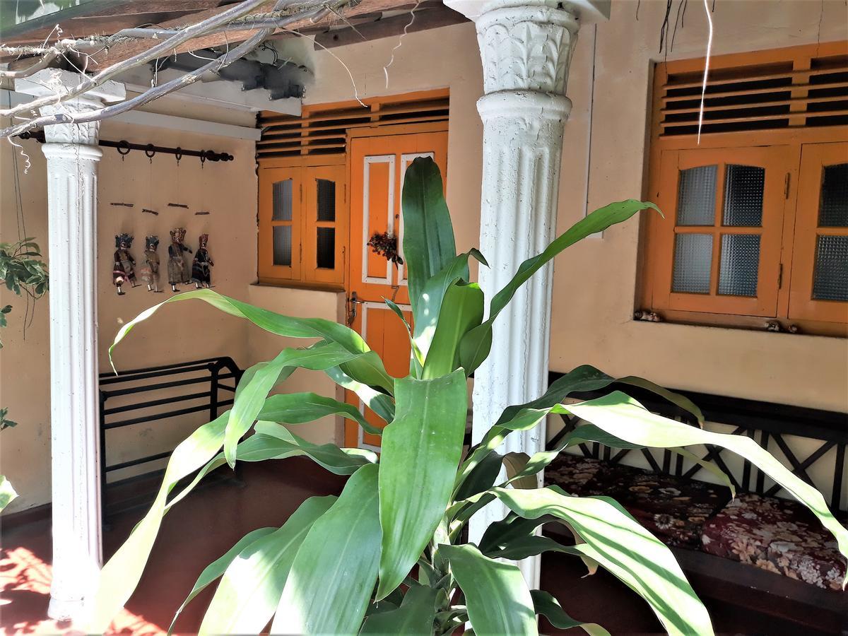 The Icebear Guesthouse Negombo Zewnętrze zdjęcie
