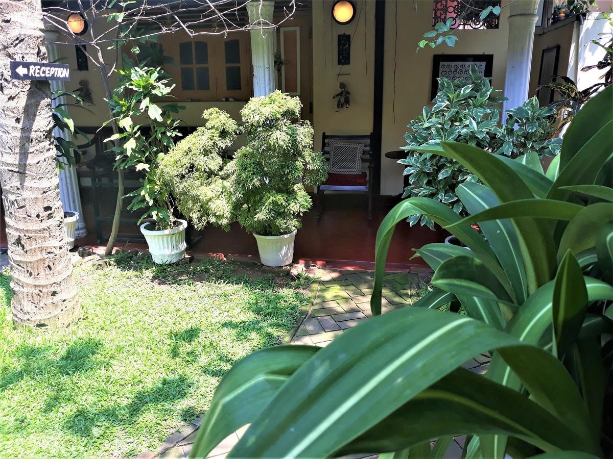 The Icebear Guesthouse Negombo Zewnętrze zdjęcie