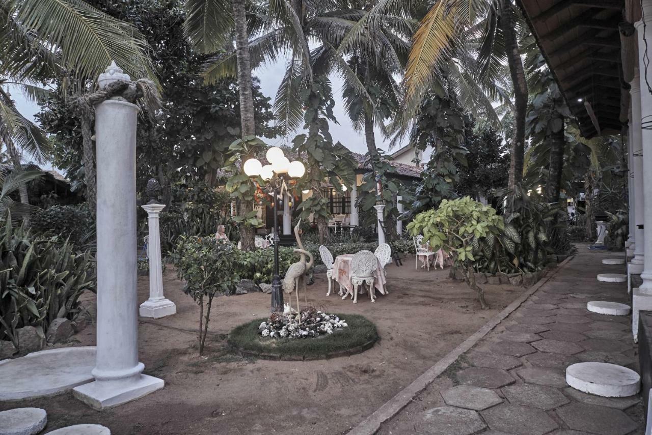 The Icebear Guesthouse Negombo Zewnętrze zdjęcie