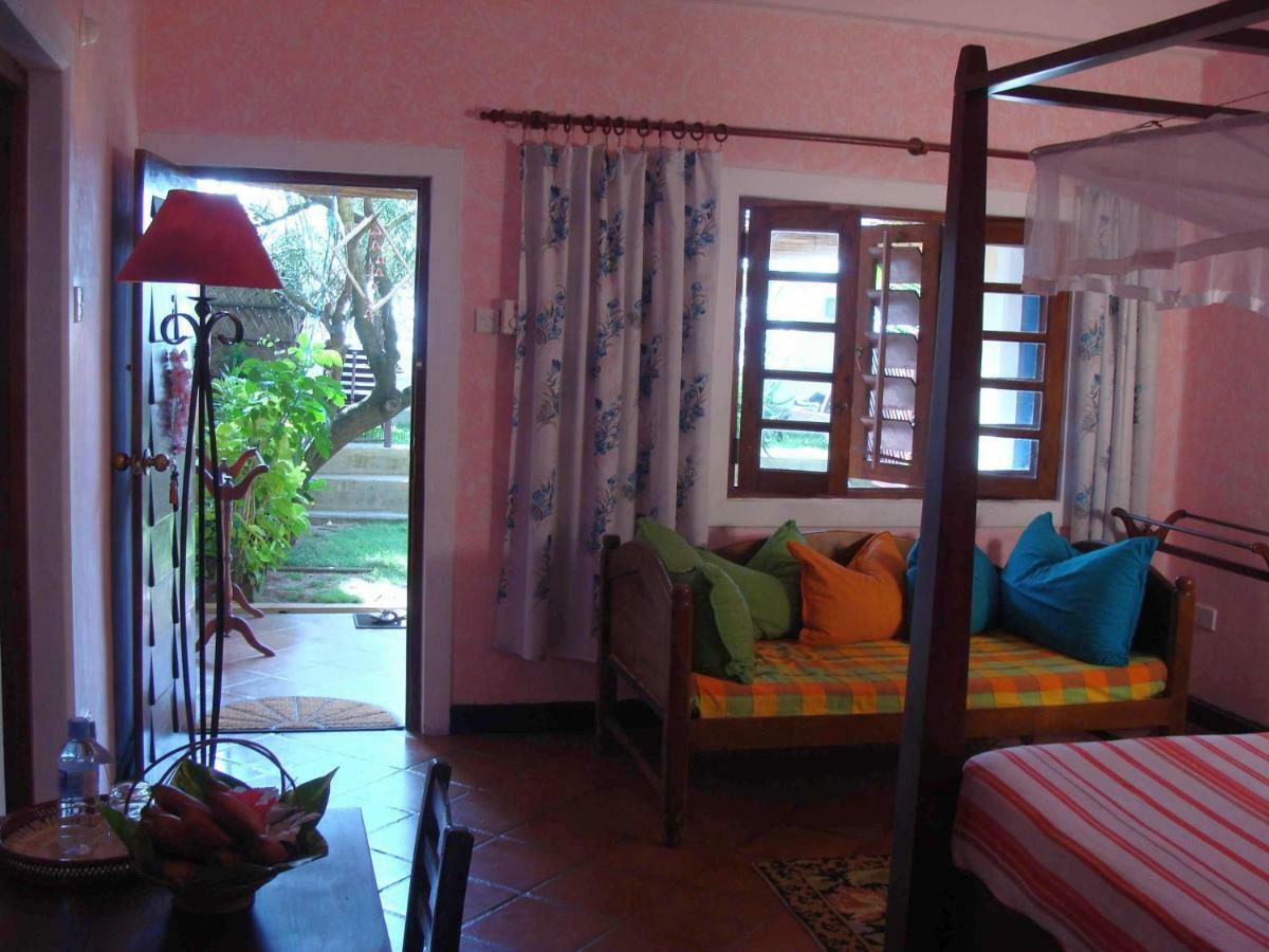 The Icebear Guesthouse Negombo Zewnętrze zdjęcie