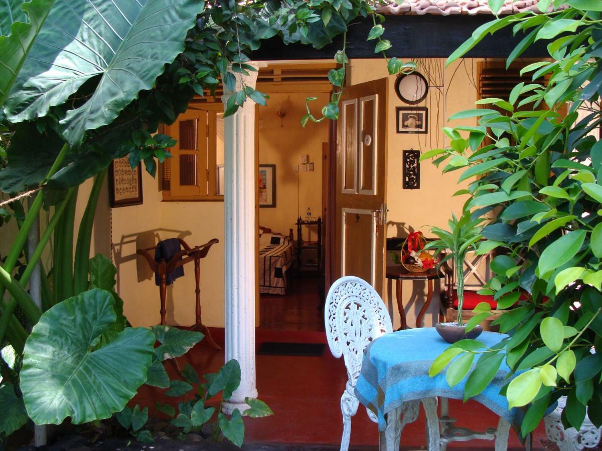 The Icebear Guesthouse Negombo Zewnętrze zdjęcie